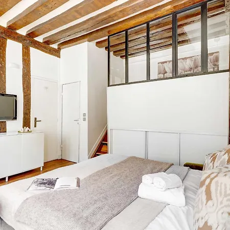 Le Marais - Pont Marie Flat Apartment